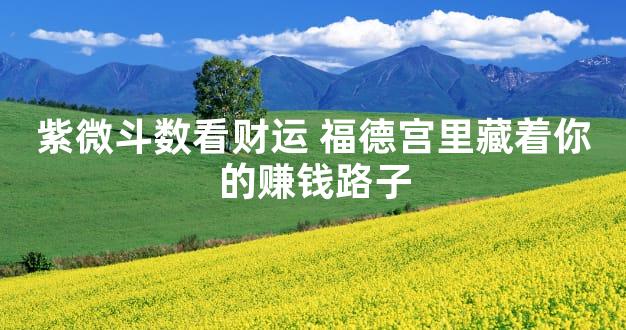 紫微斗数看财运 福德宫里藏着你的赚钱路子